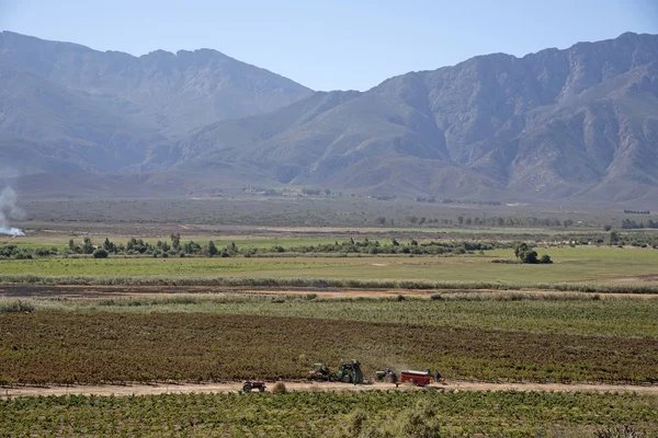 Comprar Valle cerca de Worcester en Western Cape Sudáfrica — Foto de Stock
