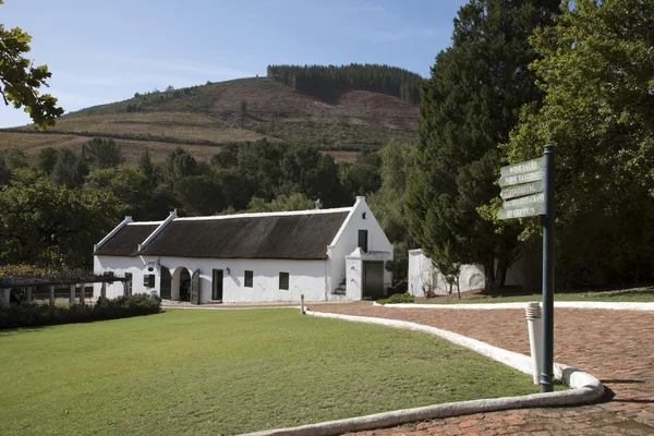 Morganhof şarap Emlak Stellenbosch Western Cape Güney Afrika yakın — Stok fotoğraf