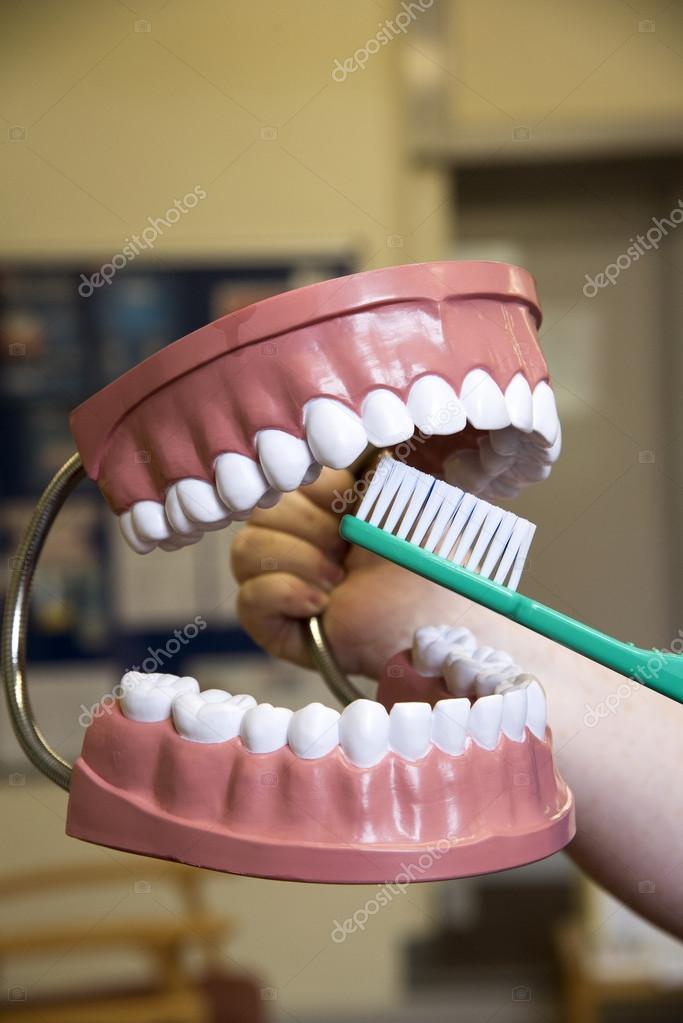 Cleaning project using large set of plastic teeth — Stock Photo