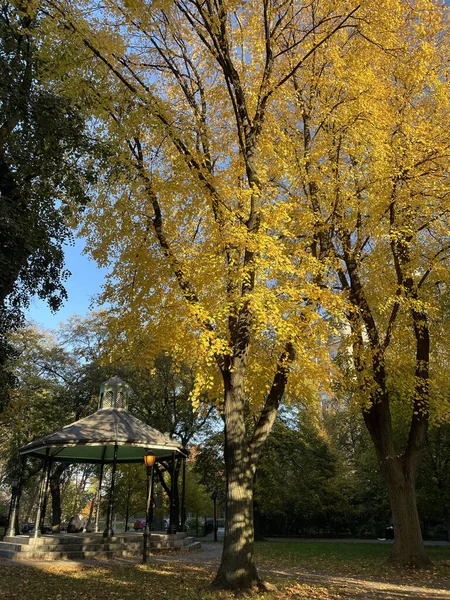 Manhattan New York Usa 2020 Trees Autumn Colours Hudson River — Stock Photo, Image