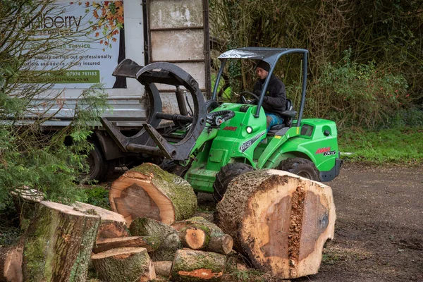 イギリスのハンプシャー州 2020年 小さなトラクターで灰の木のセクションを移動し つかむ — ストック写真