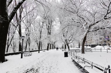 Manhattan, New York, ABD. Şubat 2021. Manhattan, NYC 'nin Morningside Heights bölgesinde Riverside Park' ta kar manzarası