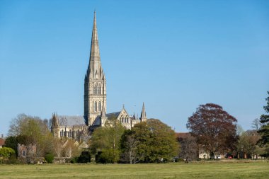Salisbury, Wiltshire, İngiltere, İngiltere. 2021 yılı. Meşhur Salisbury Katedrali şehrin su çayırları bölgesinde görüldü..
