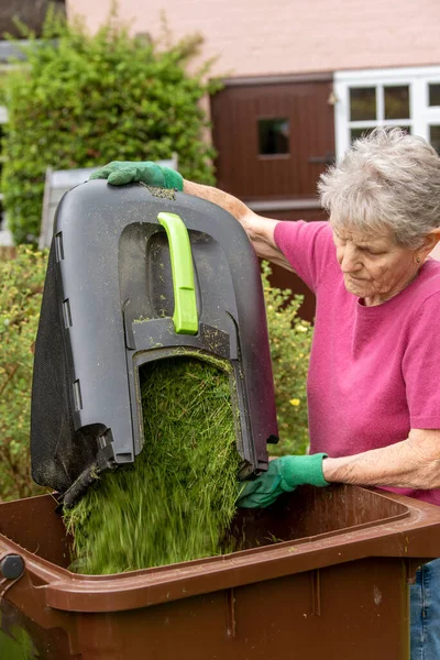 Hampshire Inglaterra Reino Unido 2021 Mujer Vaciando Esquejes Hierba Jardín —  Fotos de Stock