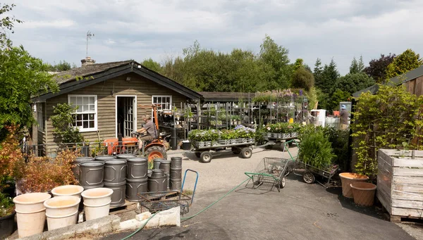 England 2021 Garden Nursery Work Area Trailers Containing Potted Plants — Stock Photo, Image