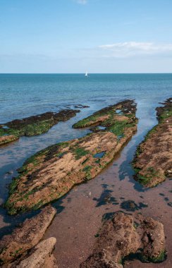 Güney Devon, İngiltere, İngiltere. 2021 yılı. Düşük gelgitte kaya oluşumu ve havuzlar İngiltere 'nin güney Devon kayalıklarından okyanusa doğru uzanır.