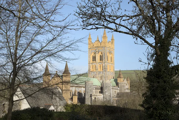 Buck γρήγορη Abbey στο Ντέβον Αγγλία Ηνωμένο Βασίλειο — Φωτογραφία Αρχείου