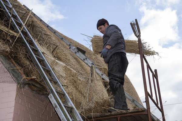 Учитель, работающий на соломенной крыше Англия Великобритания
