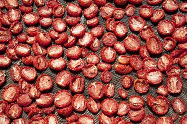 Sıcak güneşin Afrika bir çiftlikte rafları domates Kuru