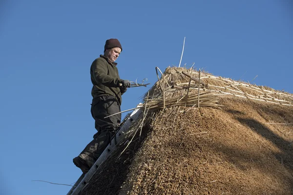 Mestre thatcher trabalhando em um telhado de palha — Fotografia de Stock