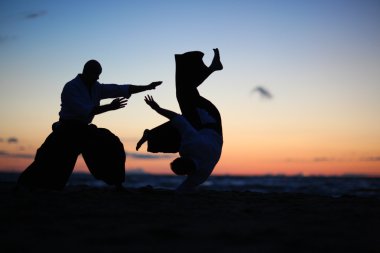Martial arts training clipart