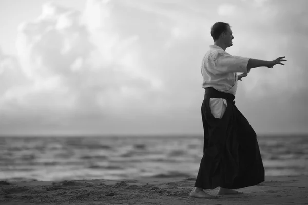 Dövüş sanatları eğitimi