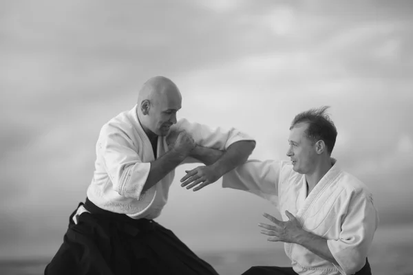 Dövüş sanatları eğitimi — Stok fotoğraf