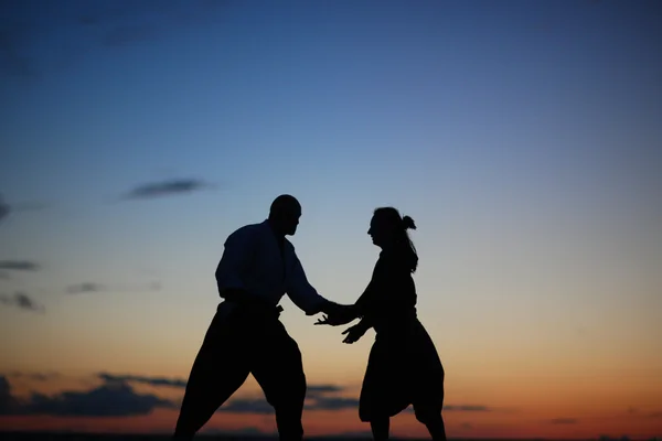 Dövüş sanatları eğitimi