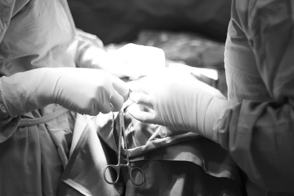 Team of surgeons performing operation — Stock Photo, Image