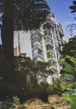 Hayatının yansıması. 