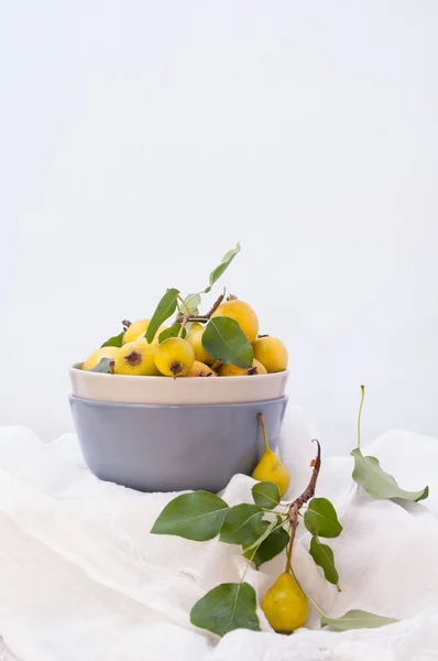 Meyve arka plan. Işık arka plan üzerinde taze organik armut. Armut sonbaharda hasat