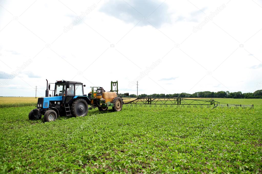 An innovative method of growing grain wheat, soybeans, corn. Han