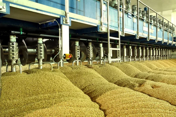 Produção industrial de malte. Uma enorme cuba — Fotografia de Stock