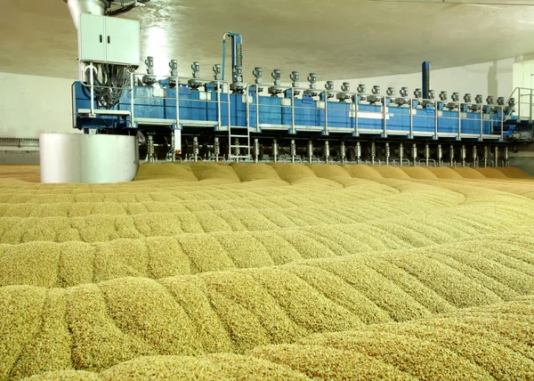 Produção industrial de malte. Uma enorme cuba — Fotografia de Stock