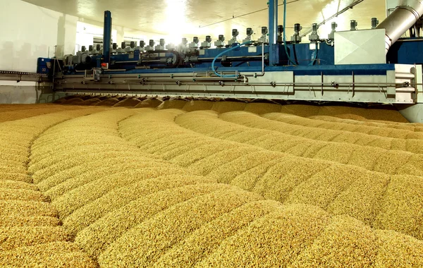 Produção industrial de malte. Uma enorme cuba — Fotografia de Stock