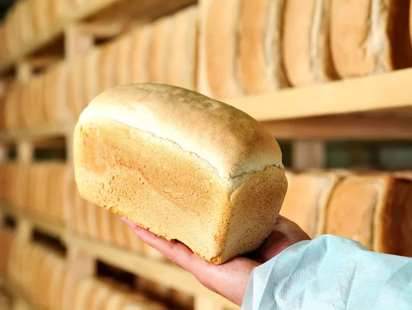 Chleb w człowieku ręce zapasów piekarni chleba produkcji sucharów. — Zdjęcie stockowe