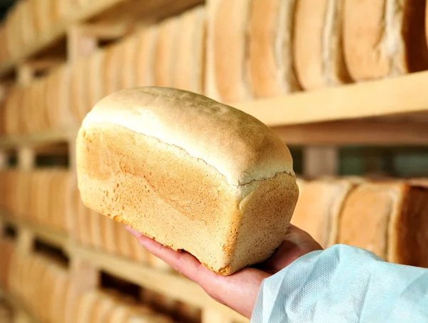 Bread in the man hands Bakery Stocks bread Manufacture of rusks. — Stock Photo, Image