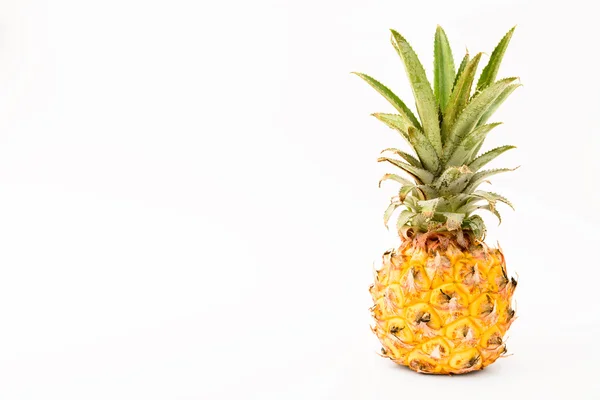 Phulae, kleine ananas fromthailand op witte achtergrond Rechtenvrije Stockfoto's