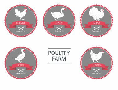 Poultry farm. Set of detailed quality vector silhouettes of chicken, rooster, goose, turkey, duck. label templates with farm birds