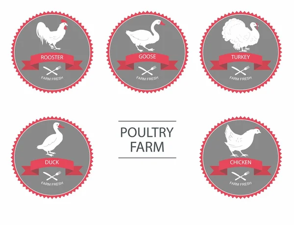 Poultry farm. Set of detailed quality vector silhouettes of chicken, rooster, goose, turkey, duck. label templates with farm birds — ストックベクタ