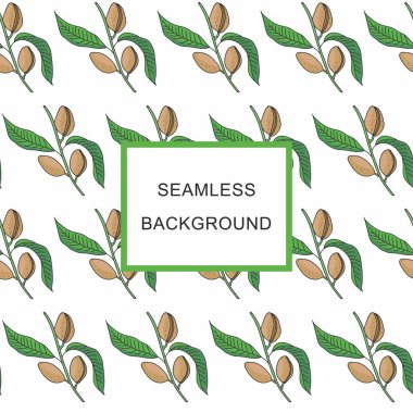 Meyve ile Dikişsiz arka plan Badem dalı