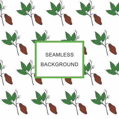 Seamless background Cacao branch with fruits