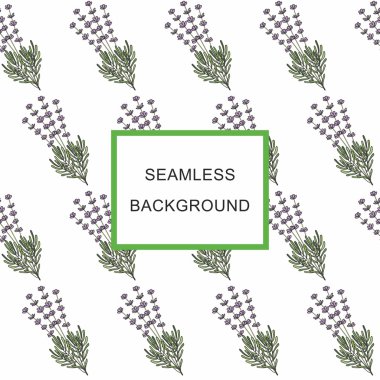 Seamless background lavender