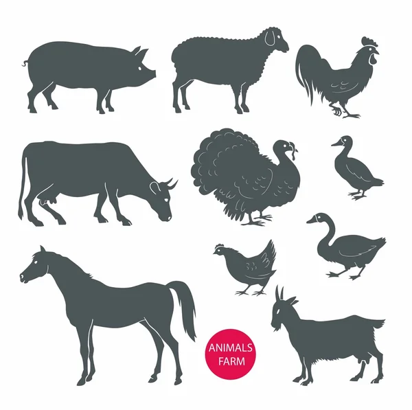 Vector set of farm animals cow, sheep, goat, pig, horse. Set of detailed quality vector silhouettes of chicken, rooster, goose, turkey, duck. Vector Illustrations isolated on white background. — Stock Vector