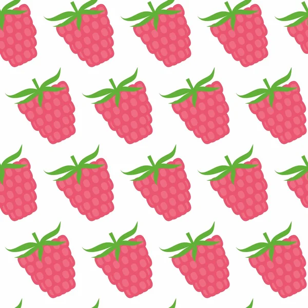 Naadloze patroon van framboos, fruit patroon, Berry patroon, vector illustratie — Stockvector