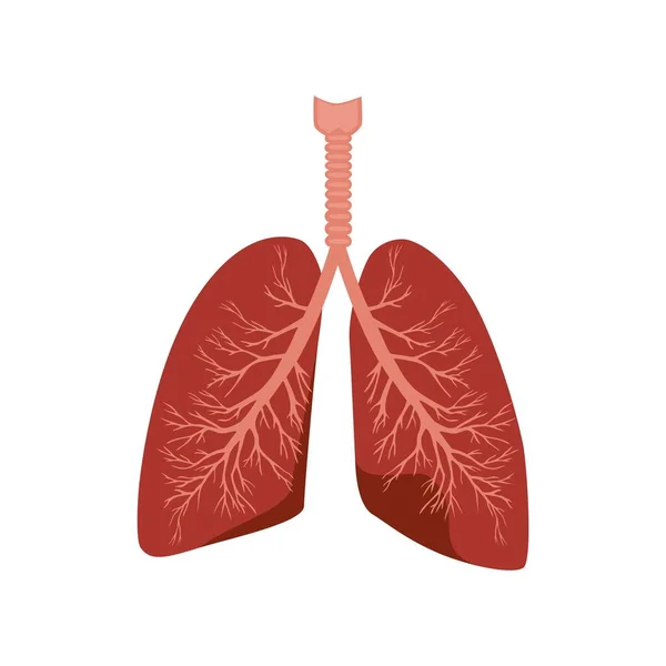 Icona Dei Polmoni Illustrazione Piatta Del Simbolo Del Vettore Polmonare — Vettoriale Stock