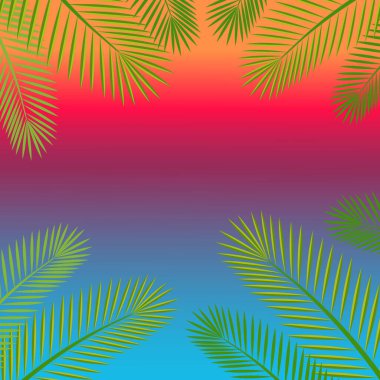Tropik arka plan, palmiye yaprakları ve güneş. vektör illüstrasyonu