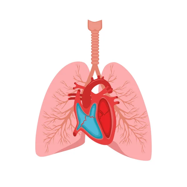 Icona Dei Polmoni Umani Illustrazione Piatta Delle Icone Vettoriali Del — Vettoriale Stock