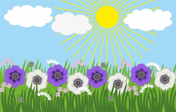 Illustration de fleurs dans l'herbe contre le ciel et le soleil — Image vectorielle