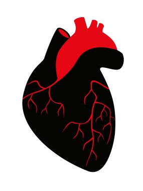 İnsan kalbi silüeti