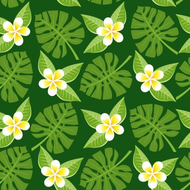 sorunsuz tropikal yaprak ve çiçek - monstera ve plumeria