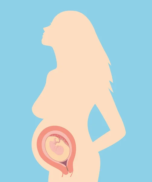 Illustration einer Silhouette einer schwangeren Frau mit Embryo — Stockvektor