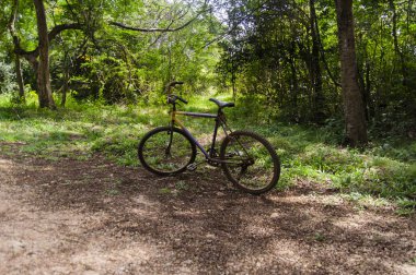 Terk edilmiş paslı Bisiklet