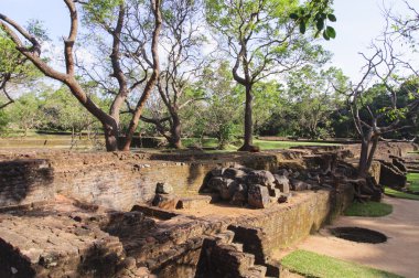 Sigiriya rock yakınındaki Park