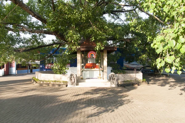 Buda görüntü