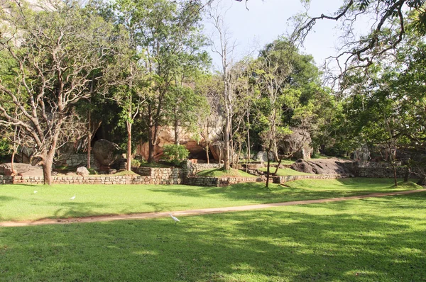 Parco sotto la roccia di Sigiriya — Foto Stock