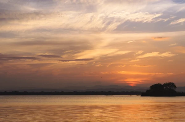 Polonnaruwa göl günbatımı