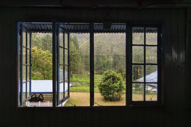 Bir çay fabrikasının penceresinden görünümü