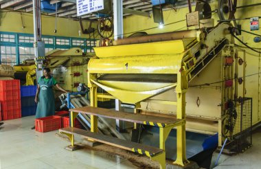 İşçilerin çay fabrikası