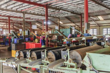 İşçilerin çay fabrikası